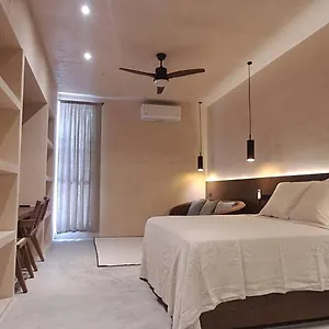 Apartment Mid-498 Centro